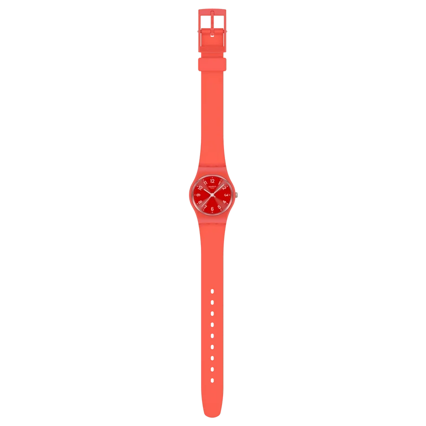 Anmerkungen zu «Coral»