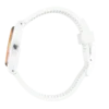 Whitepay!